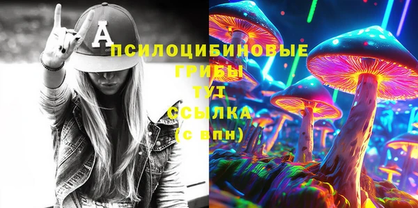 Альфа ПВП Бугульма