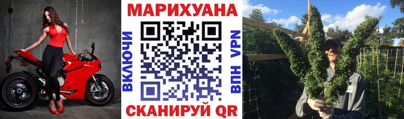 Бошки марихуана план  Купить  Лабинск 